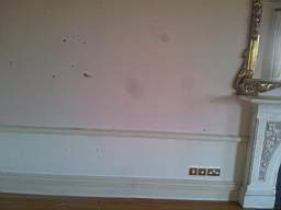 fkillineybeforeinternal 1130.jpg